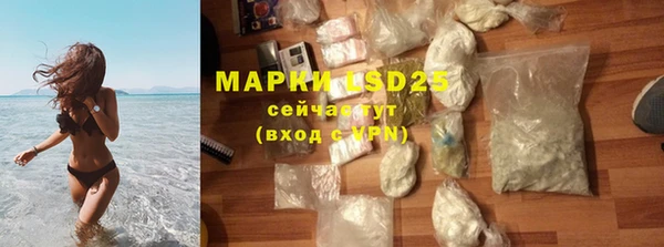 a pvp Магас