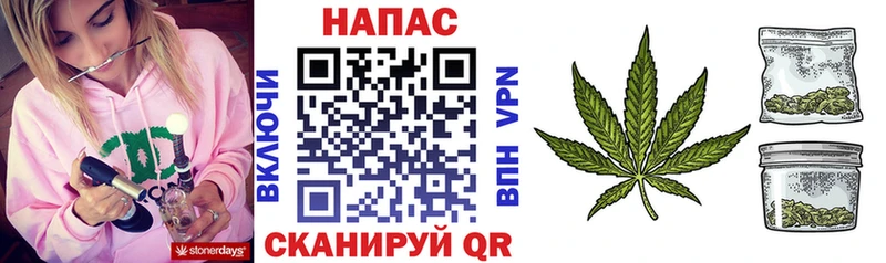 Канабис ГИДРОПОН  Сясьстрой 